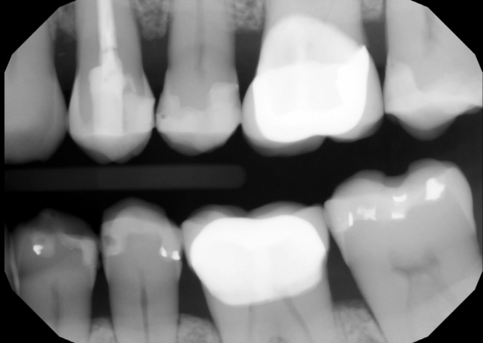 Screen Shot 2022-11-07 at 1.02.57 PM