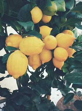 Lemons