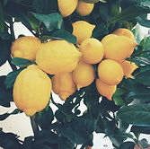 Atelier Cuisine - Naturopathe Grenoble