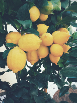 Lemons