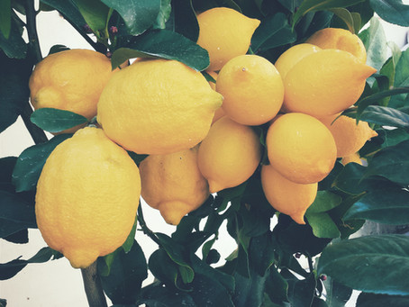 Here's how to drink your way to good health! (updated 11/19)