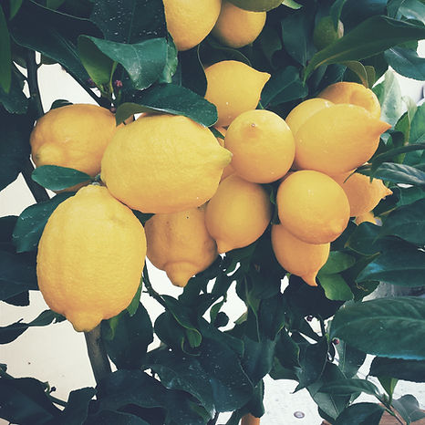 Lemons