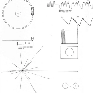 Brand Identity