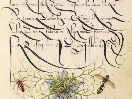 Mary Oliver and the Pisces/Virgo Axis