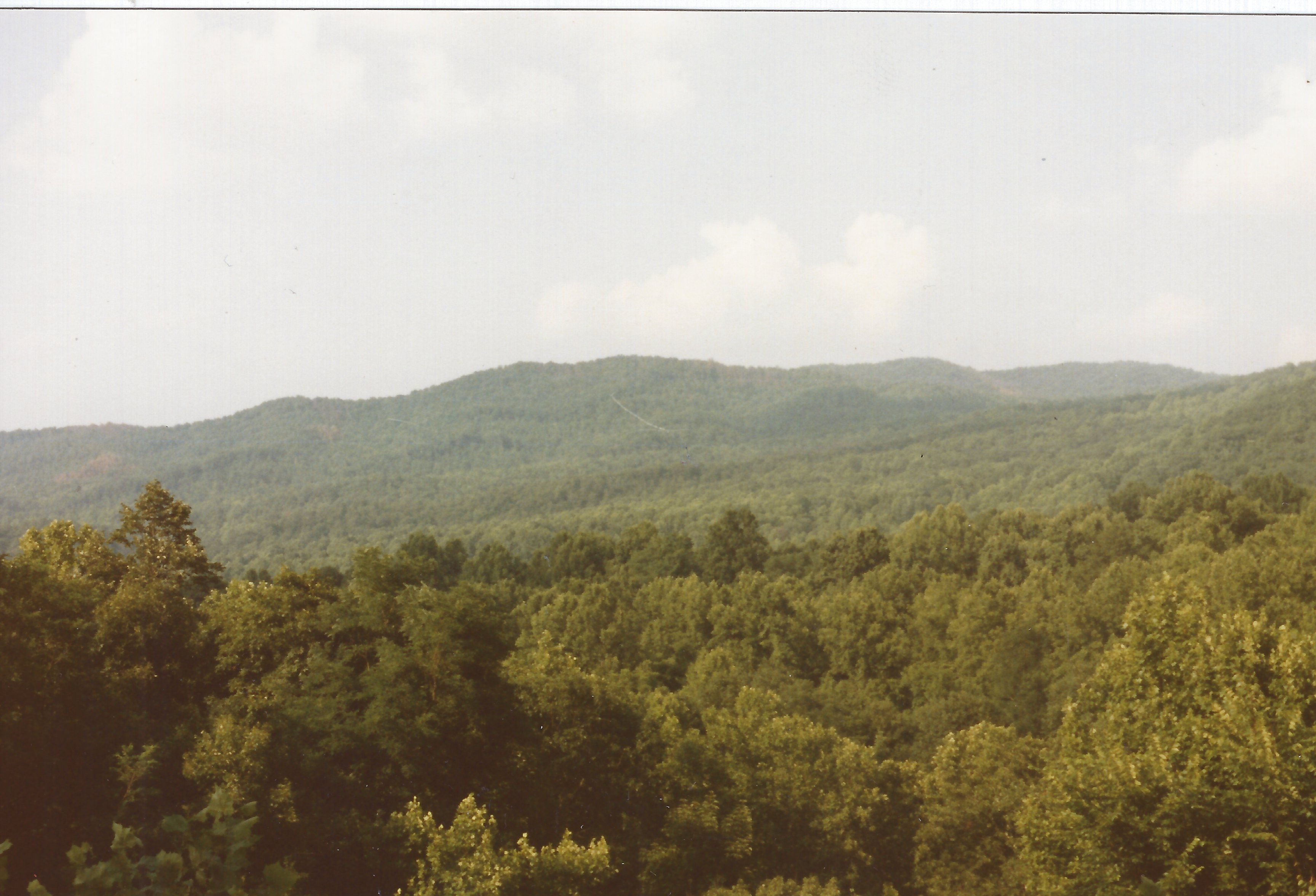 Nature and wild life 24