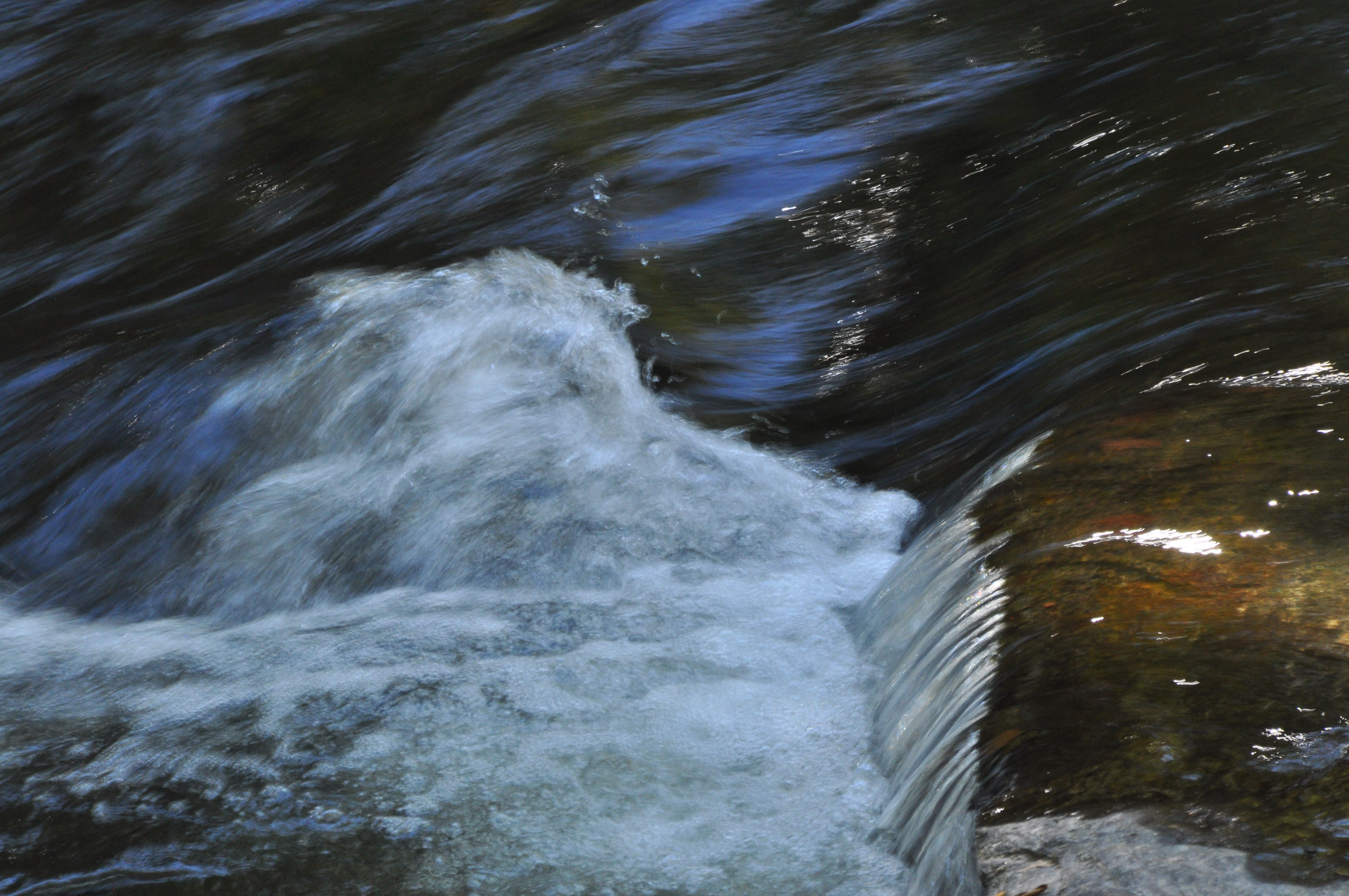 Nature and wild life 6