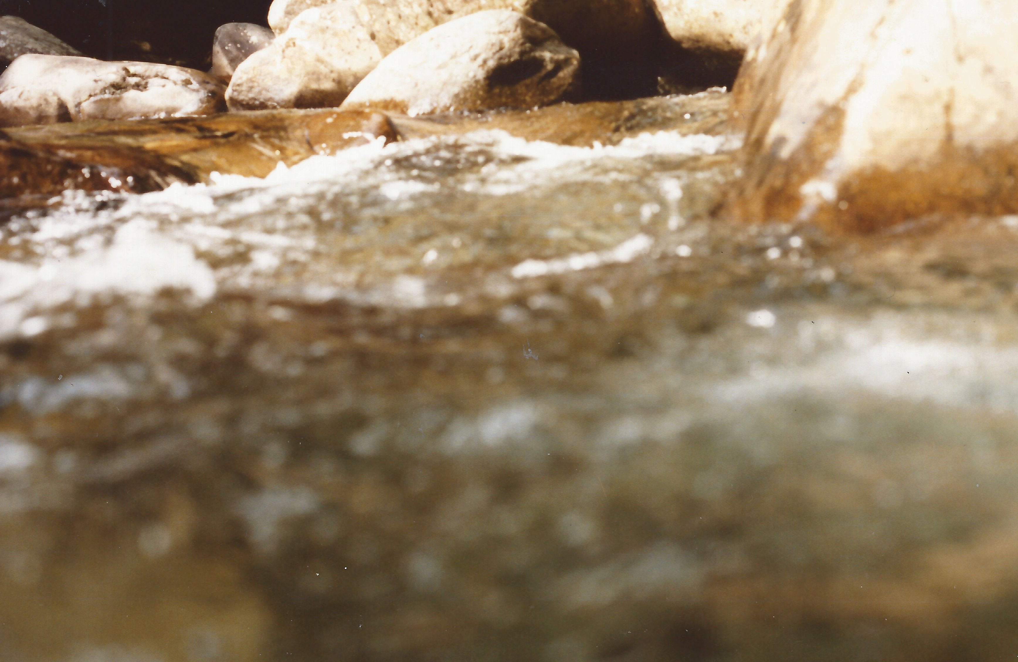 Nature and wild life 21