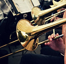 Trumpet Player