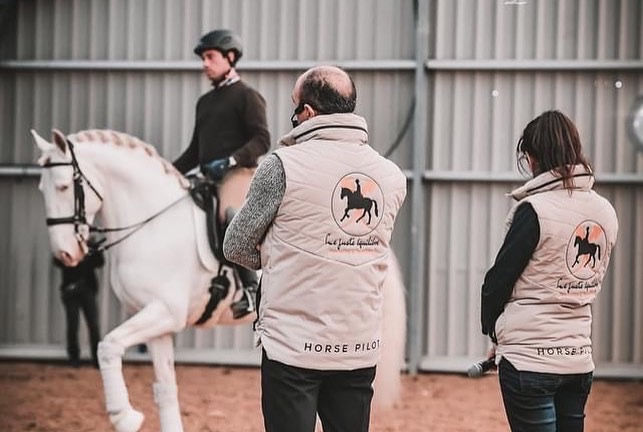 locomotion cheval.JPG