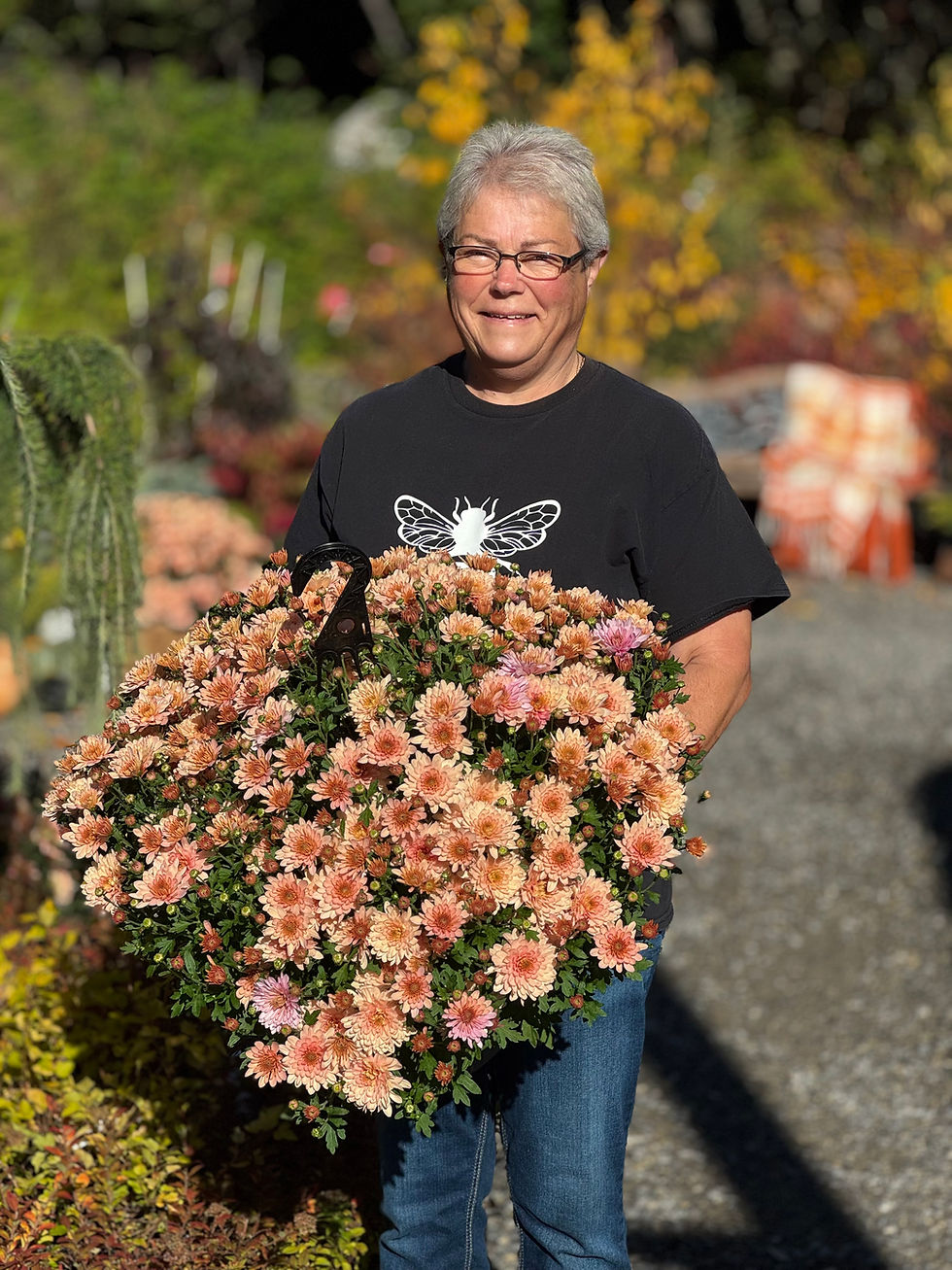 Thumbnail: Hanging Basket - Coral
