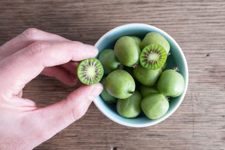 Hardy Kiwi Issai: 1Gal