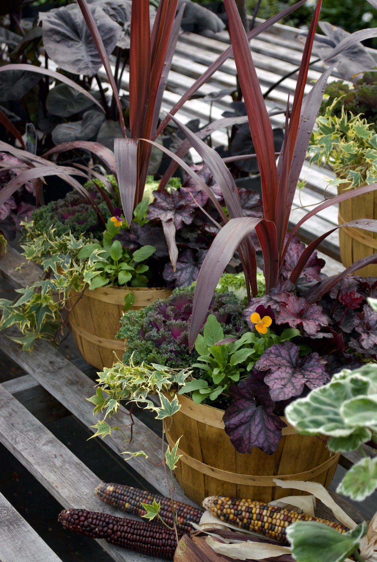 A Bushel and a Peck Patio Planter