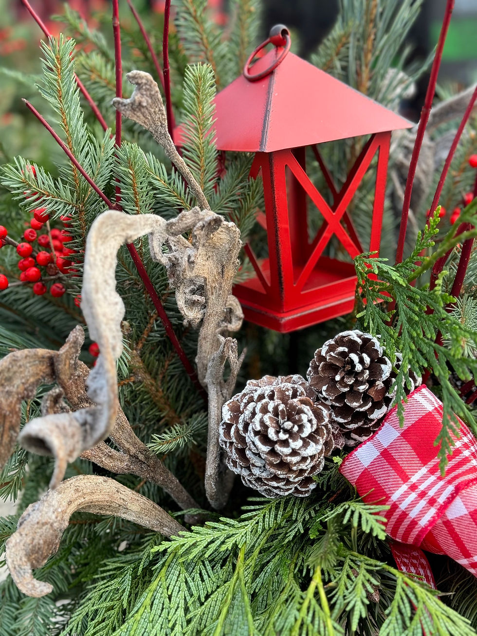 Thumbnail: Red Lantern - Outdoor Patio Pot