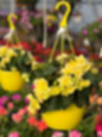 Thumbnail: YELLOW