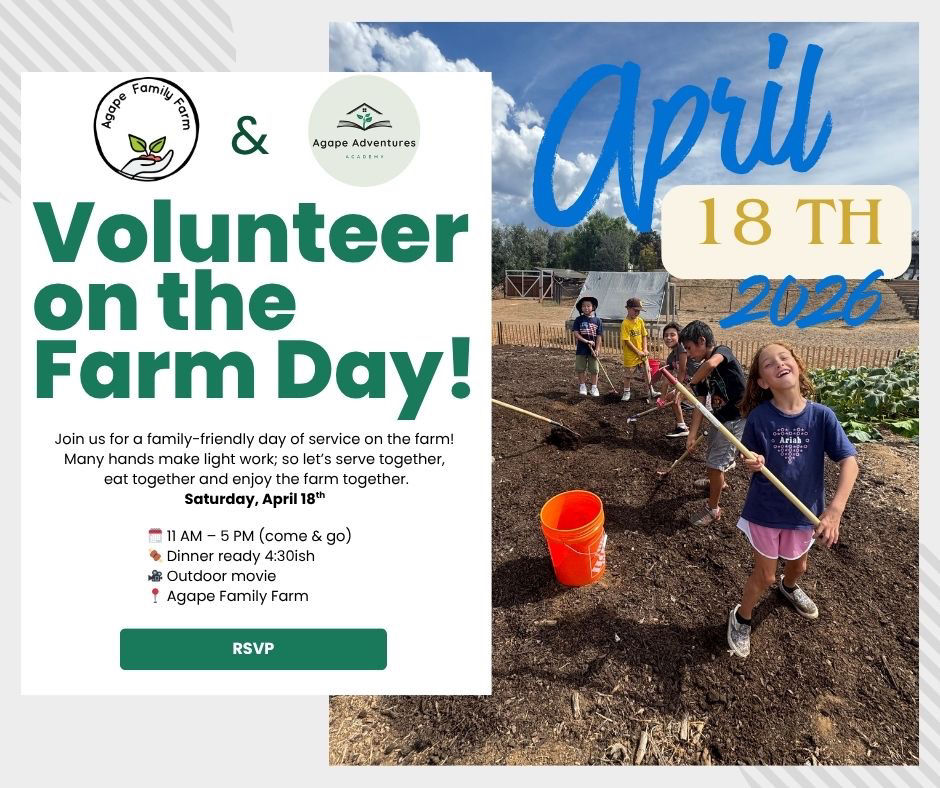 Volunteer on the Farm!