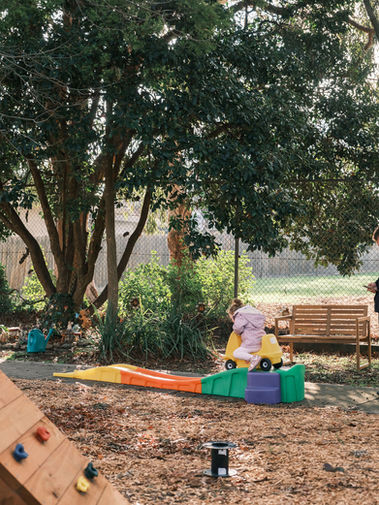 Coloured rollercoaster with child riding on it under a large green tree.