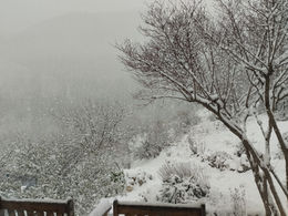 La vie de l'entreprise