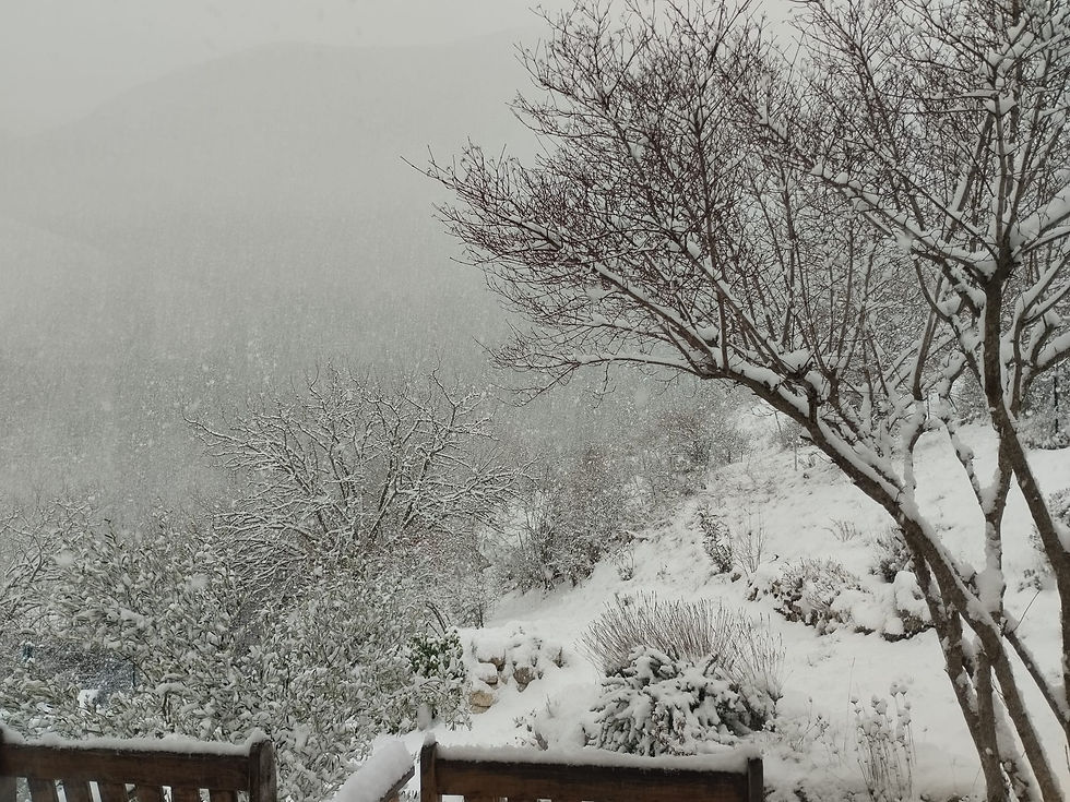 La vie de l'entreprise