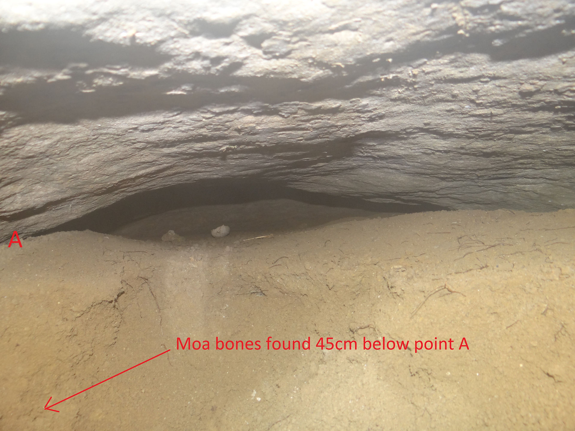 bone location 1