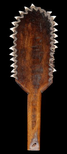 43bbdf4a45755e82ace1c4bdc0c447cb--shark-tooth-sharks