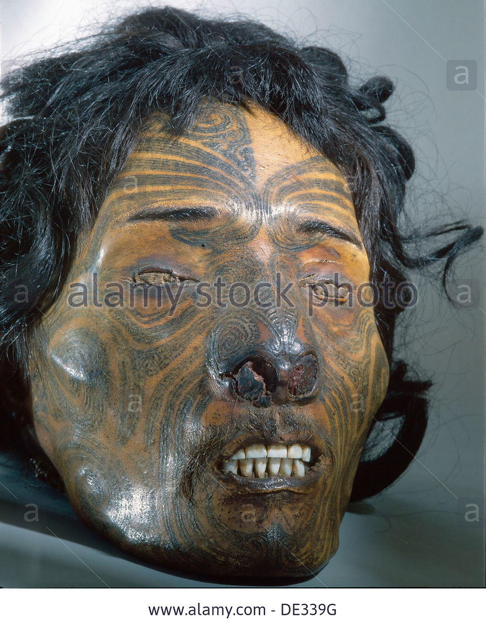 maori-sometimes-preserved-the-heads-of-revered-chiefs-who-died-in-DE339G