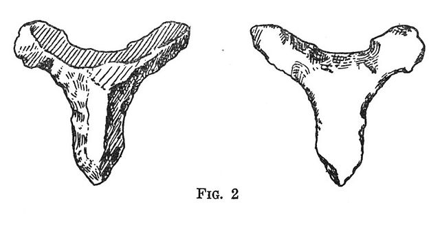Nevis scraper