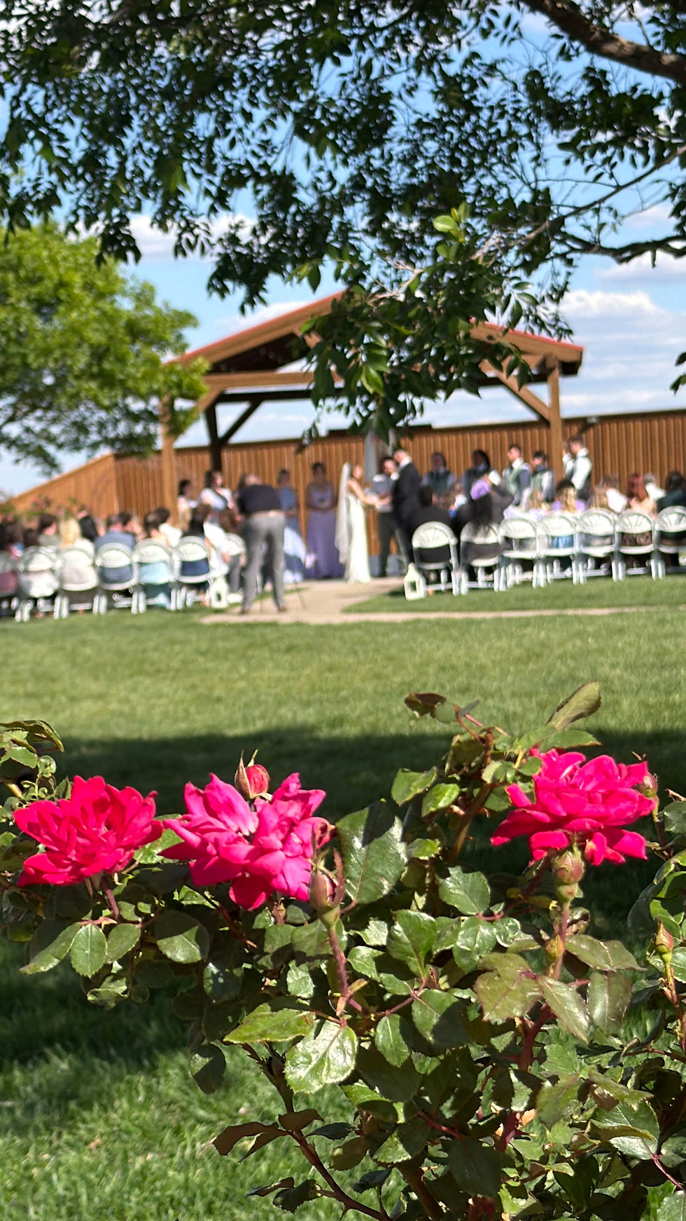 Outdoor spring wedding near Canyon Texas with couple under wooden gazebo, red roses in foreground, and guests seated at Amarillo wedding venue