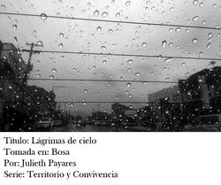 Galería Fotográfica