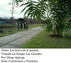 Galería fotográfica