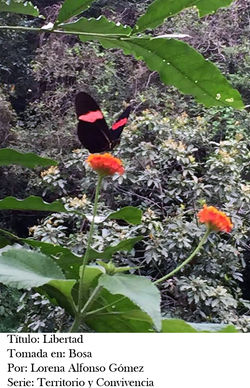 Galería Fotográfica