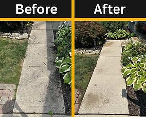 Pressure Washing Before and After