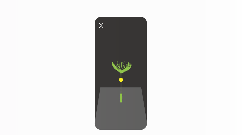 SolariumInstructions2.gif