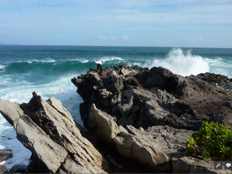 Kapalua Coastal Trail