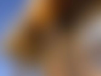 한국 언론 트럼프 관세정책 악마화 불쾌