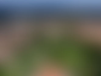 법무부, 캘리포니아 주립대학 '반유대' 묵인 조사 착수