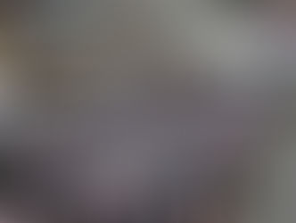 한미 전시작전권 찬탈 계엄령 발동 내란 수괴 윤석렬 반드시 구속