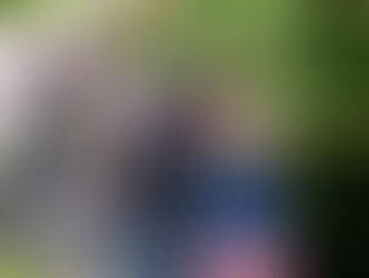 트럼프, 무고한 어린이 2명 희생 미니애폴리스 비극적 희생 공공건물에 조기게양