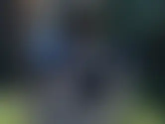 성당에서 미사보던 아이들에 총질 2명 사망 17명 부상