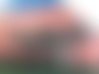 "한국 나무호 폭발 진상 밝혀라" 국민의힘 이란에 돈 바친 이재명 정부 추궁