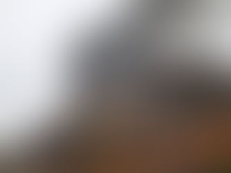 트럼프, "스페인 이주민 난입은 재앙, 민주당 집권하면 미국도 침략 당할 것"