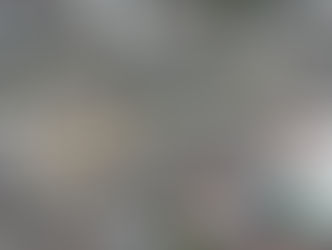 미국 일본 외신들 윤석렬 탄핵 선고 분열 심화 보도