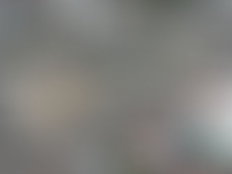 미국 일본 외신들 윤석렬 탄핵 선고 분열 심화 보도