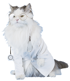 cat doctor.png