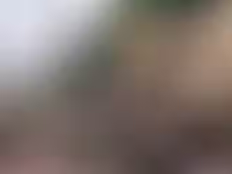 트럼프, 미국 50개주에 주방위군 2만 3천명 파병