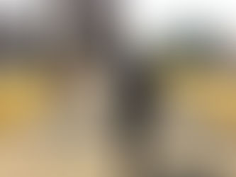 러시아인들 북한 방문 러시... 지난해 9천 985명 역대 최고치