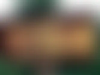 유엔군사령부, DMZ 이남 비무장지대 출입통제권 철저히 장악 발표