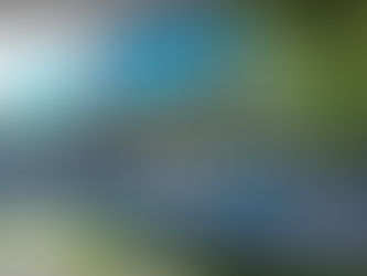 미국 귀화 시민권자 대대적 수사 착수. 이민국 현장 사무소에 건수 배정