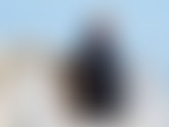 백악관 기자들, 중국서 받은 모든 물건 중국 쓰레기통에 버려