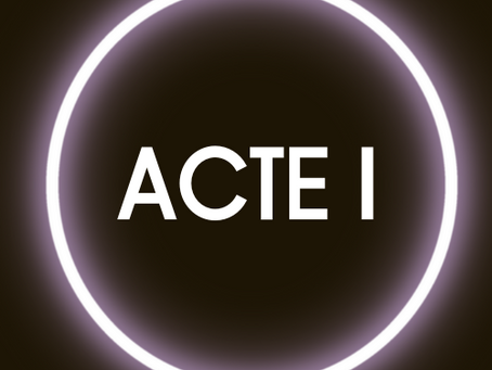 L'atelier d'Acte 1 à Lille : une expérience enrichissante pour les acteurs