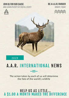 AARI Donate design.jpeg
